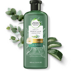 Product image of Potent Aloe Vera + Eucalyptus Conditioner for Hair & Scalp Balance